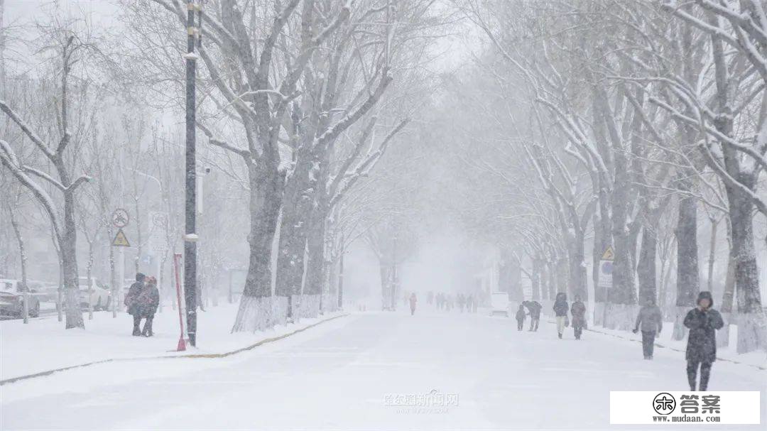 三月的雪花能够有多都雅