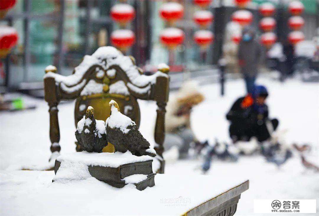 三月的雪花能够有多都雅