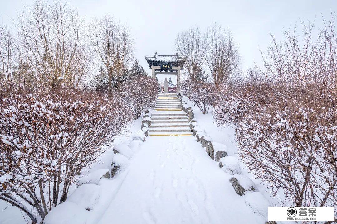 三月的雪花能够有多都雅