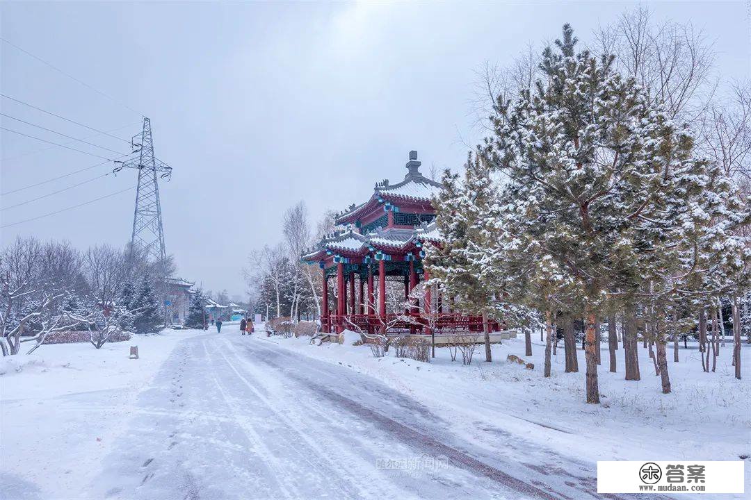 三月的雪花能够有多都雅