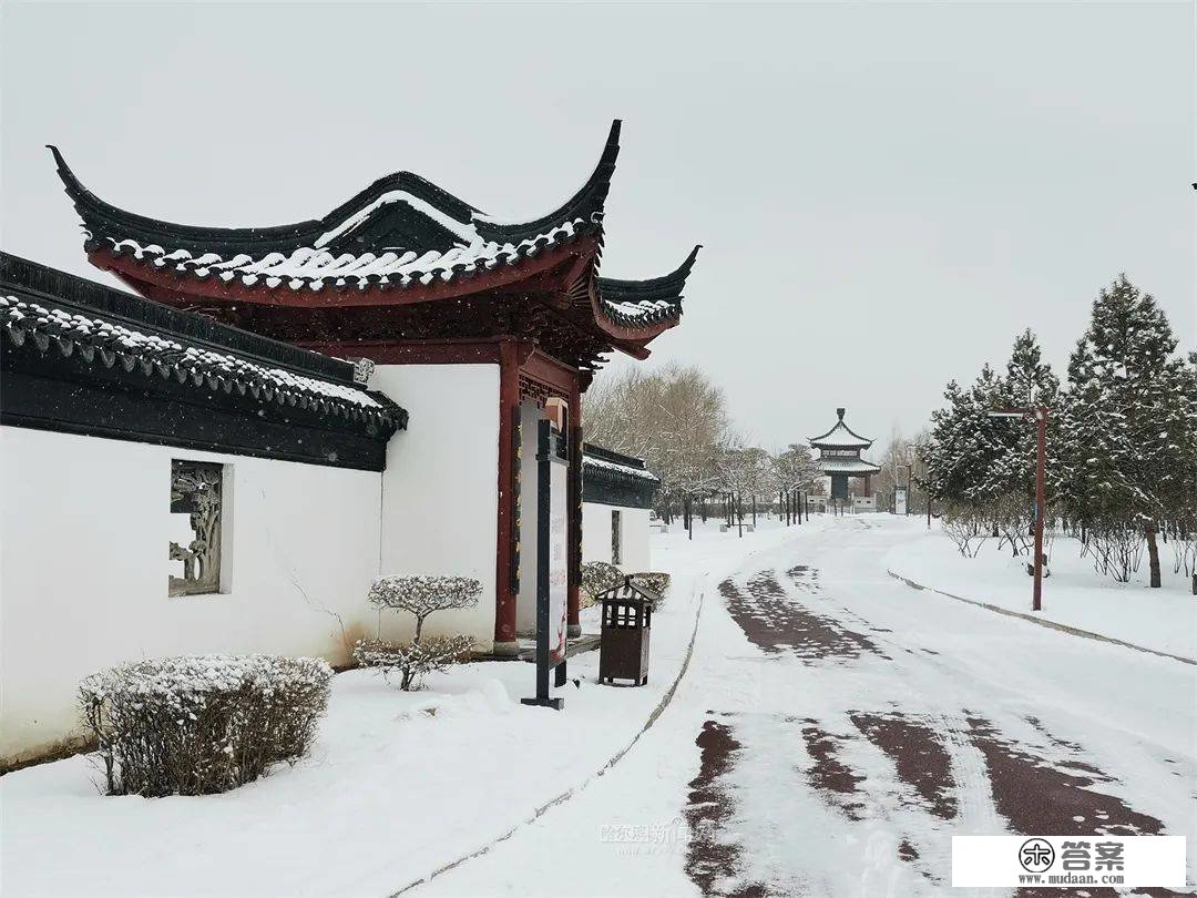 三月的雪花能够有多都雅