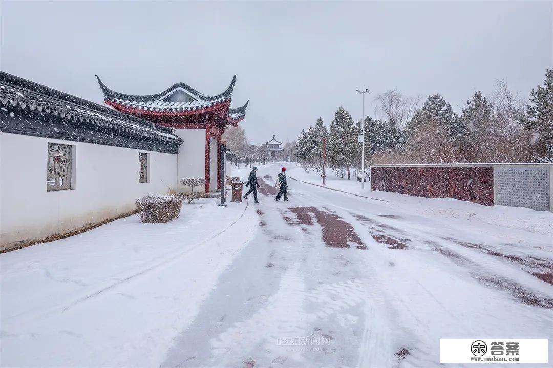 三月的雪花能够有多都雅