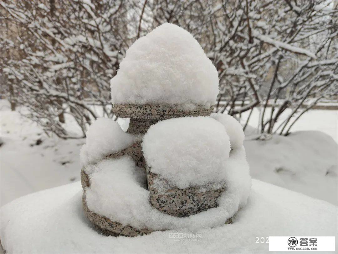 三月的雪花能够有多都雅