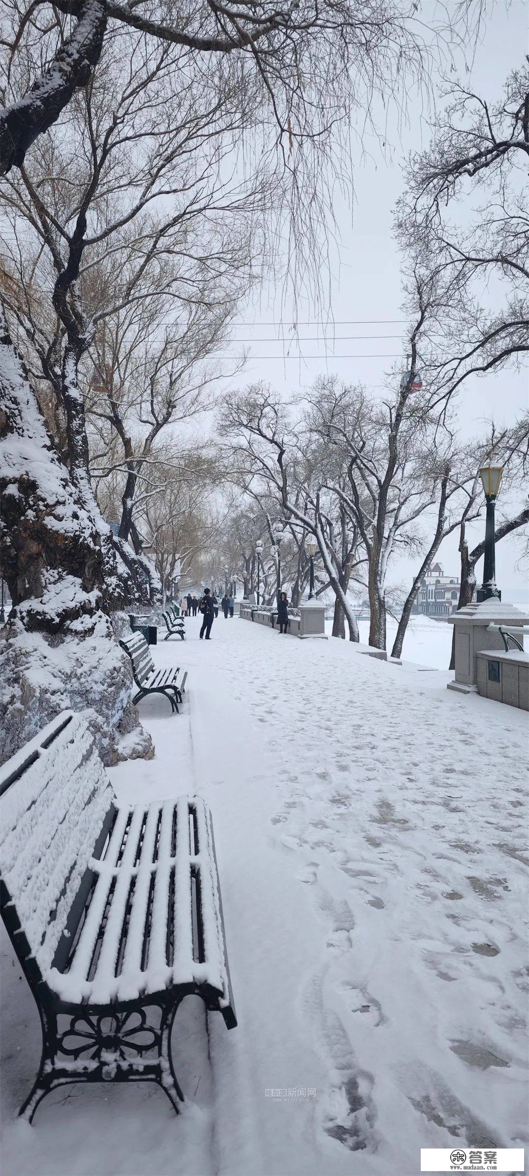 三月的雪花能够有多都雅