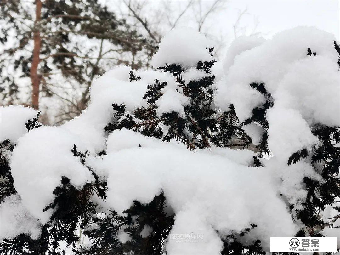 三月的雪花能够有多都雅