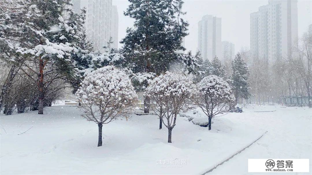 三月的雪花能够有多都雅