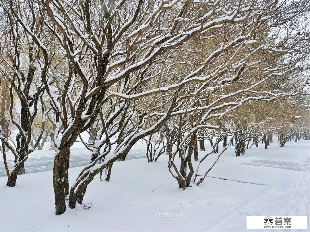 三月的雪花能够有多都雅