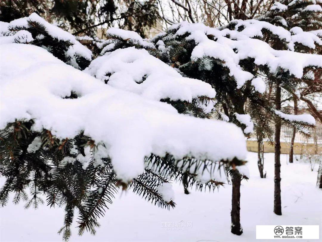 三月的雪花能够有多都雅