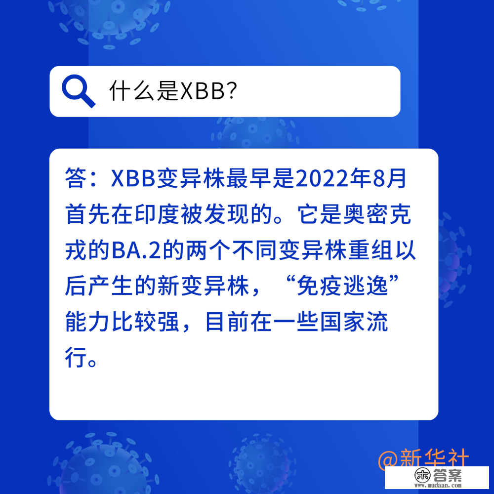 六问六答带你领会XBB变异毒株关键点