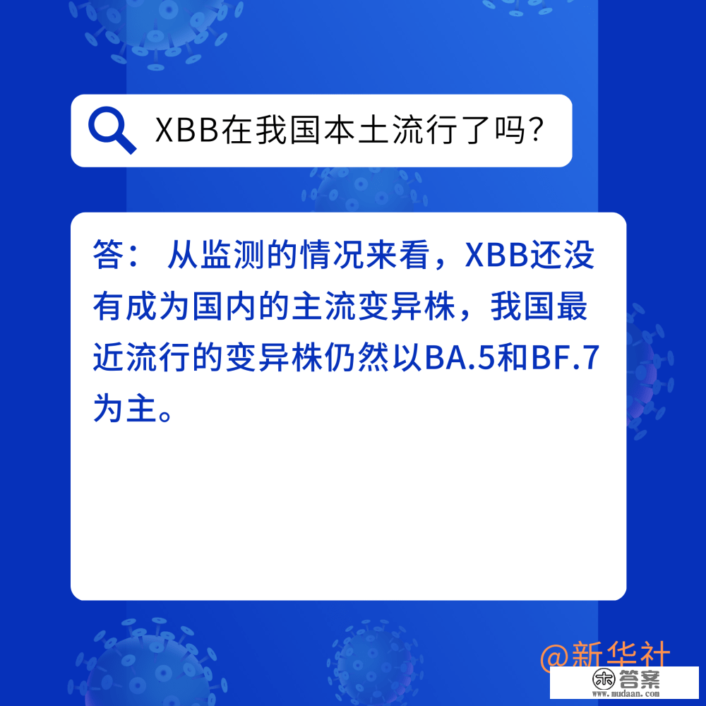 六问六答带你领会XBB变异毒株关键点