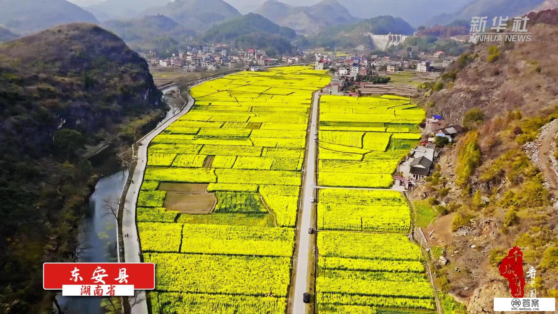 千城百县看中国｜花朵盛开满目春