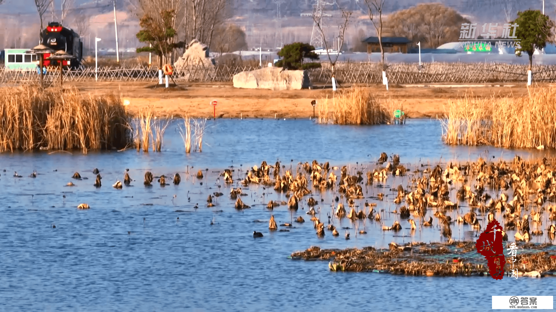 千城百县看中国｜山东枣庄：诗画白楼湾