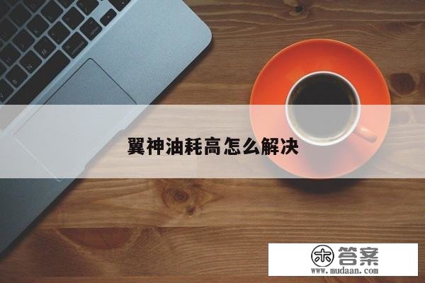 翼神油耗高怎么处理