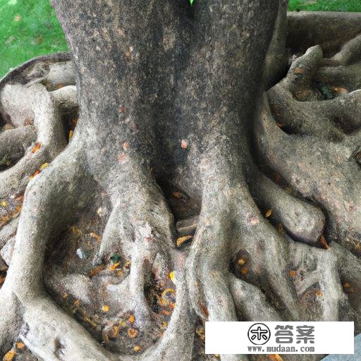 一键root大师是什么？