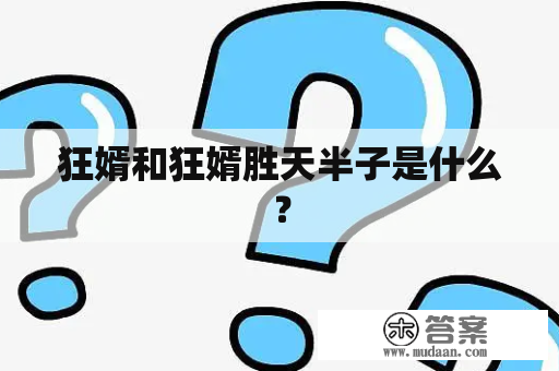 狂婿和狂婿胜天半子是什么？