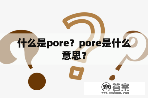 什么是pore？pore是什么意思？