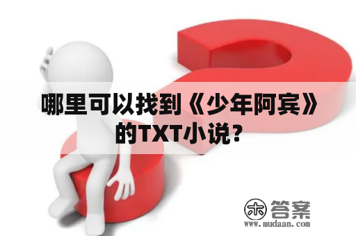 哪里可以找到《少年阿宾》的TXT小说？