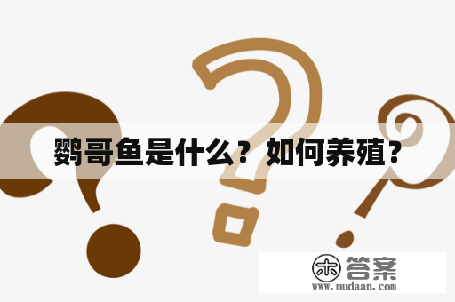 鹦哥鱼是什么？如何养殖？