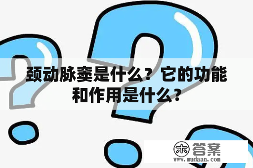 颈动脉窦是什么？它的功能和作用是什么？