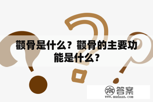 颧骨是什么？颧骨的主要功能是什么？