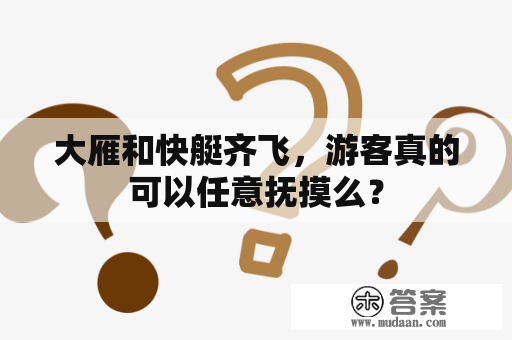 大雁和快艇齐飞，游客真的可以任意抚摸么？