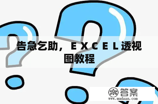 告急乞助，ＥＸＣＥＬ透视图教程