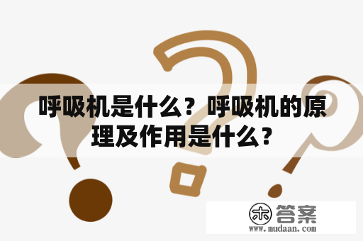 呼吸机是什么？呼吸机的原理及作用是什么？