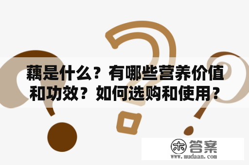 藕是什么？有哪些营养价值和功效？如何选购和使用？