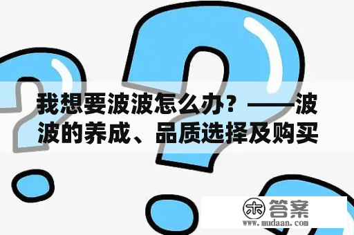 我想要波波怎么办？——波波的养成、品质选择及购买建议