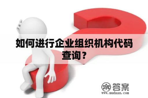 如何进行企业组织机构代码查询？