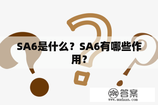 SA6是什么？SA6有哪些作用？