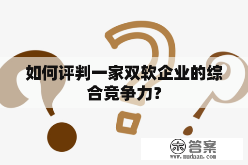 如何评判一家双软企业的综合竞争力？