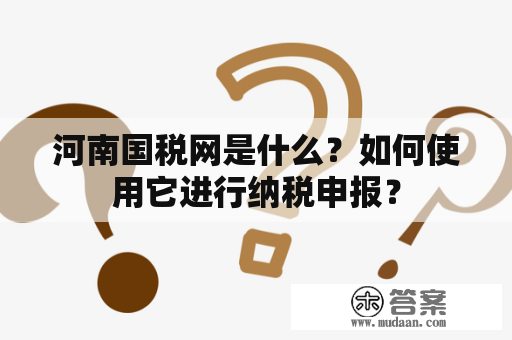 河南国税网是什么？如何使用它进行纳税申报？