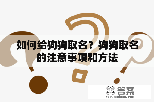 如何给狗狗取名？狗狗取名的注意事项和方法