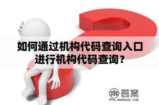 如何通过机构代码查询入口进行机构代码查询？