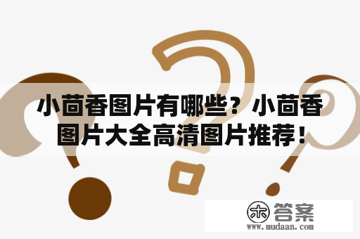 小茴香图片有哪些？小茴香图片大全高清图片推荐！