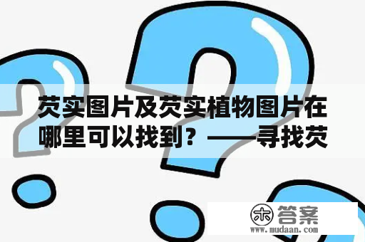 芡实图片及芡实植物图片在哪里可以找到？——寻找芡实图片及芡实植物图片的好去处