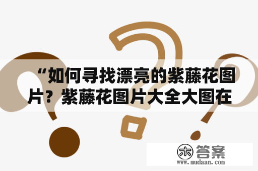 “如何寻找漂亮的紫藤花图片？紫藤花图片大全大图在哪里可以找到？”