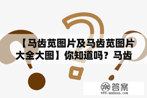 【马齿苋图片及马齿苋图片大全大图】你知道吗？马齿苋不仅是种草药，还是可食用的蔬菜哦！而这个草药的使用历史可以追溯到世界各地，被广泛用于治疗身体不适以及提高免疫力。如果你对马齿苋还不熟悉的话，我们为你提供一些视觉上的帮助，以图片的形式来介绍马齿苋种植、外观、食用等方面的信息。