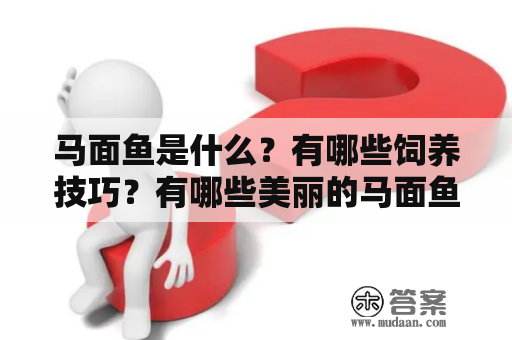 马面鱼是什么？有哪些饲养技巧？有哪些美丽的马面鱼图片值得收藏？