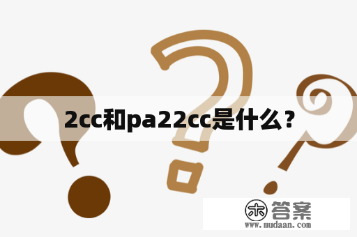 2cc和pa22cc是什么？