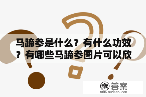 马蹄参是什么？有什么功效？有哪些马蹄参图片可以欣赏？