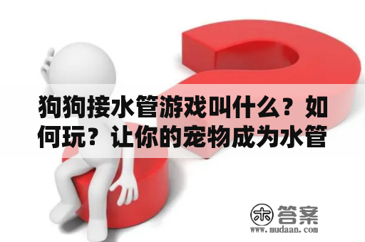 狗狗接水管游戏叫什么？如何玩？让你的宠物成为水管大师！