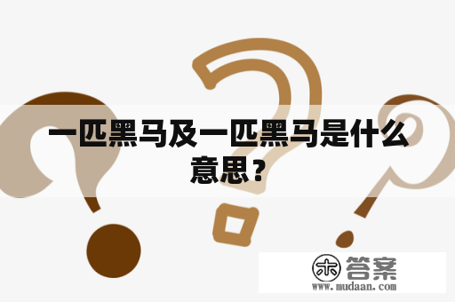 一匹黑马及一匹黑马是什么意思？