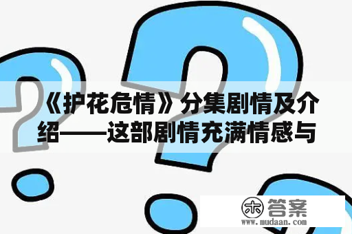 《护花危情》分集剧情及介绍——这部剧情充满情感与荣誉感的都市警匪剧