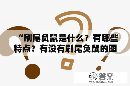 “刷尾负鼠是什么？有哪些特点？有没有刷尾负鼠的图片可供欣赏？”