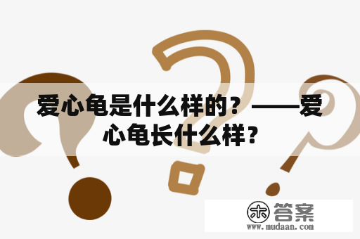 爱心龟是什么样的？——爱心龟长什么样？