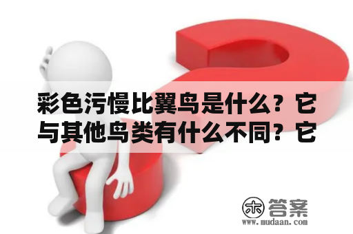 彩色污慢比翼鸟是什么？它与其他鸟类有什么不同？它为什么受到人们的喜爱和青睐？