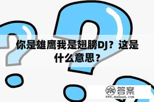 你是雄鹰我是翅膀DJ？这是什么意思？