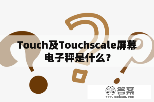 Touch及Touchscale屏幕电子秤是什么？